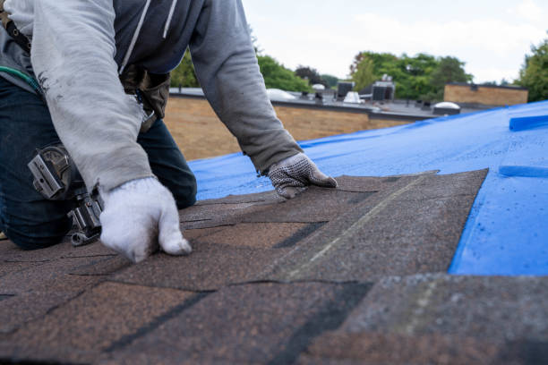 Best Flat Roof Repair Services  in Seaman, OH